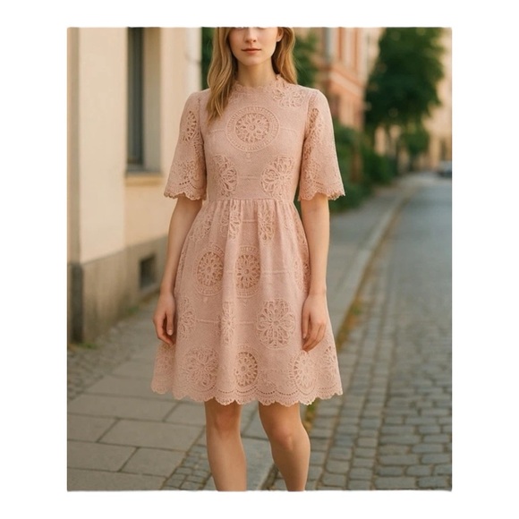 Champagne & Strawberry Broderie Anglaise Knee Length Dress in Pink - Picture 1 of 6